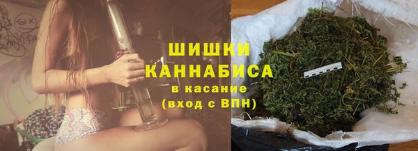 гидра Богородицк