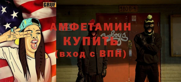 ПСИЛОЦИБИНОВЫЕ ГРИБЫ Богданович