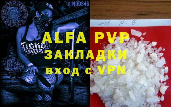 ПСИЛОЦИБИНОВЫЕ ГРИБЫ Богданович