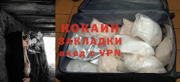 гидра Богородицк