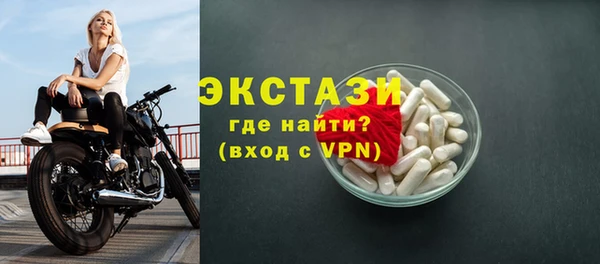 гидра Богородицк