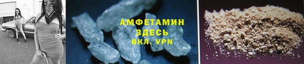 гидра Богородицк