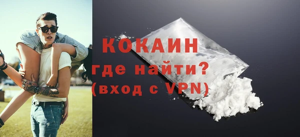 гидра Богородицк