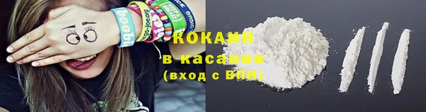 ПСИЛОЦИБИНОВЫЕ ГРИБЫ Богданович