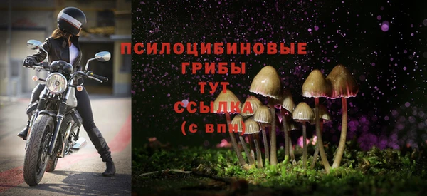 МДПВ Бронницы