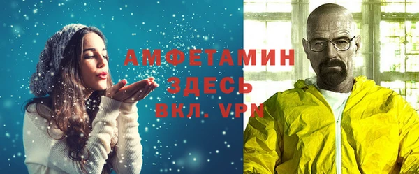гидра Богородицк