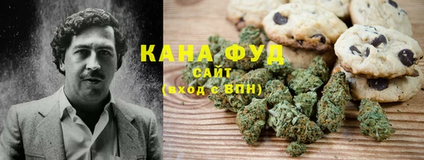 ПСИЛОЦИБИНОВЫЕ ГРИБЫ Богданович